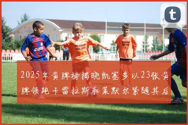 2025年黄牌榜揭晓凯塞多以23张黄牌领跑卡雷拉斯和莱默尔紧随其后