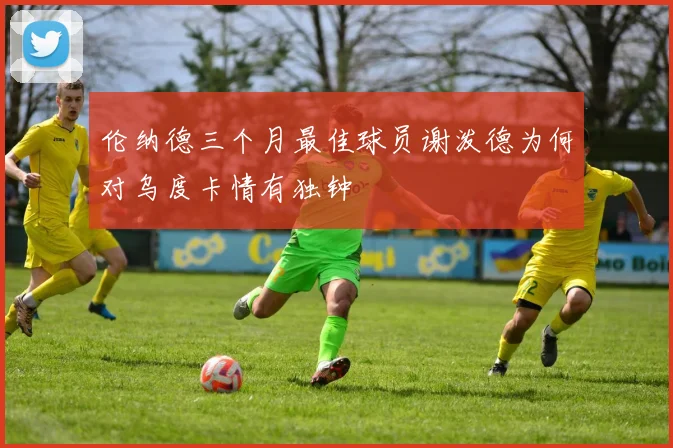 伦纳德三个月最佳球员谢泼德为何对乌度卡情有独钟